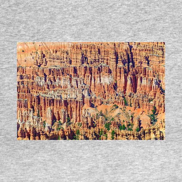 Hoodoos in Profusion, Bryce Canyon National Park by BrianPShaw